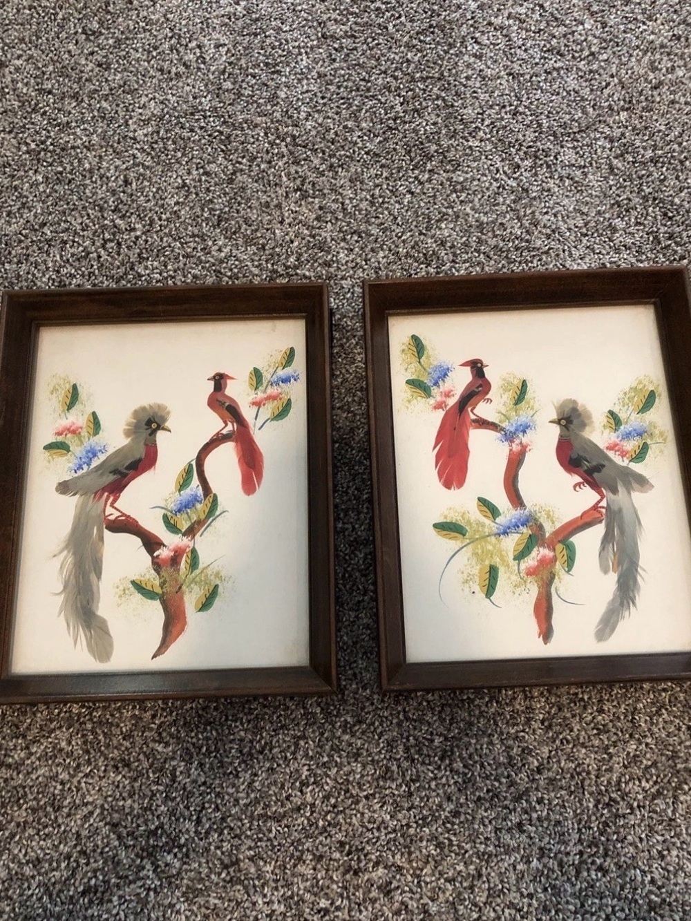 Vtg Feathered Craft Bird With Red Feathers, Set Of 2 - Frame Is 11” X 9” Each